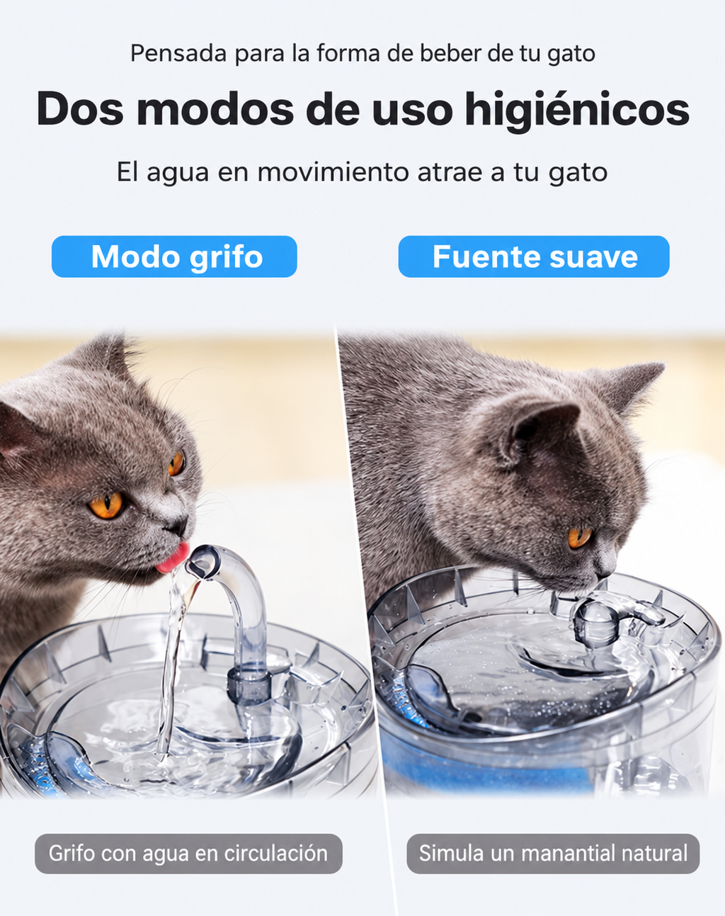 Fuente De Agua Para Gatos Y Perros